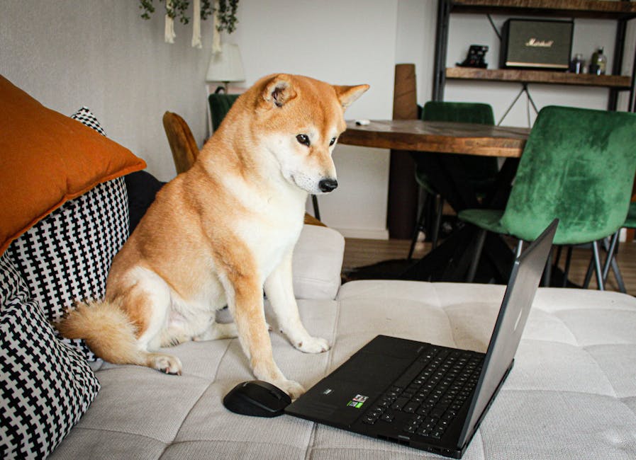 dog sitting in front of laptop wifi funny ssid names