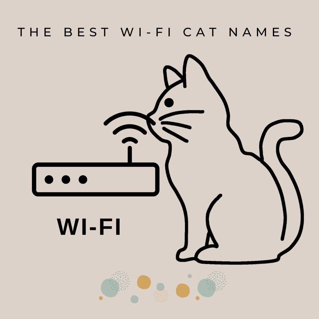 epic cat wifi names